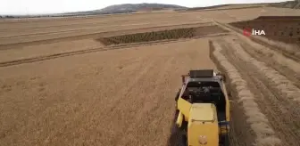 Adıyaman'da Biçerdöverler Tarlalara Girdi, Hasat Başladı