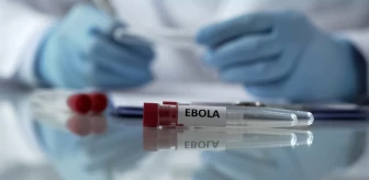 Ebola virüsü nedir ve belirtileri nelerdir? Nasıl tedavi edilir?