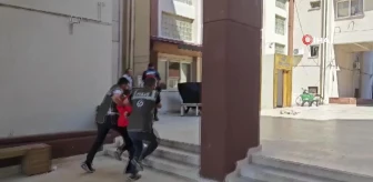 İzmir'de yasaklı ırk köpek kediyi saldırmıştı, sahibi adliyeye sevk edildi