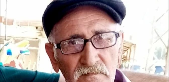 Kars'ta Boğa Saldırısı Sonucu Bir Kişi Hayatını Kaybetti