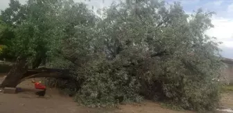 Konya'da Şiddetli Sağanak Hayatı Olumsuz Etkiledi