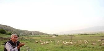 Aydın'ın Çine ilçesinde çobanlık yapan adamın öyküsü