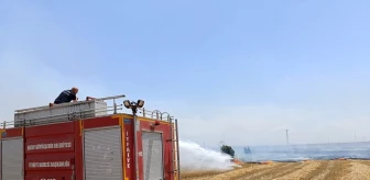 Reyhanlı'da Tarlada Çıkan Yangın Kontrol Altına Alındı