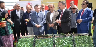 Hakkari'de 257 Çiftçiye 109 Bin Sebze ve Meyve Fidesi Dağıtıldı
