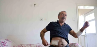 Nevşehir'de Sokak Köpeklerinin Saldırısına Uğrayan Adam Yaralandı