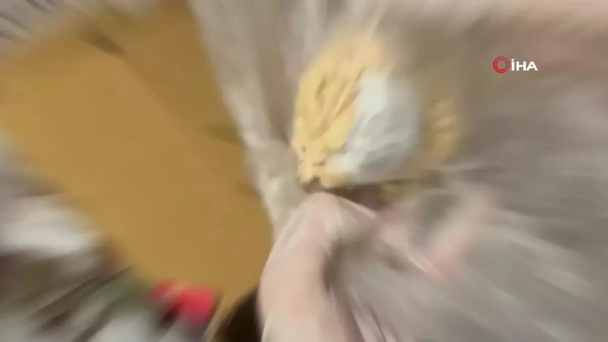 Malatya'da zehir tacirlerine operasyon: 5 tutuklama