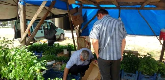 Adana'da Ata Tohumu ve Fideleri Yoğun İlgi Görüyor