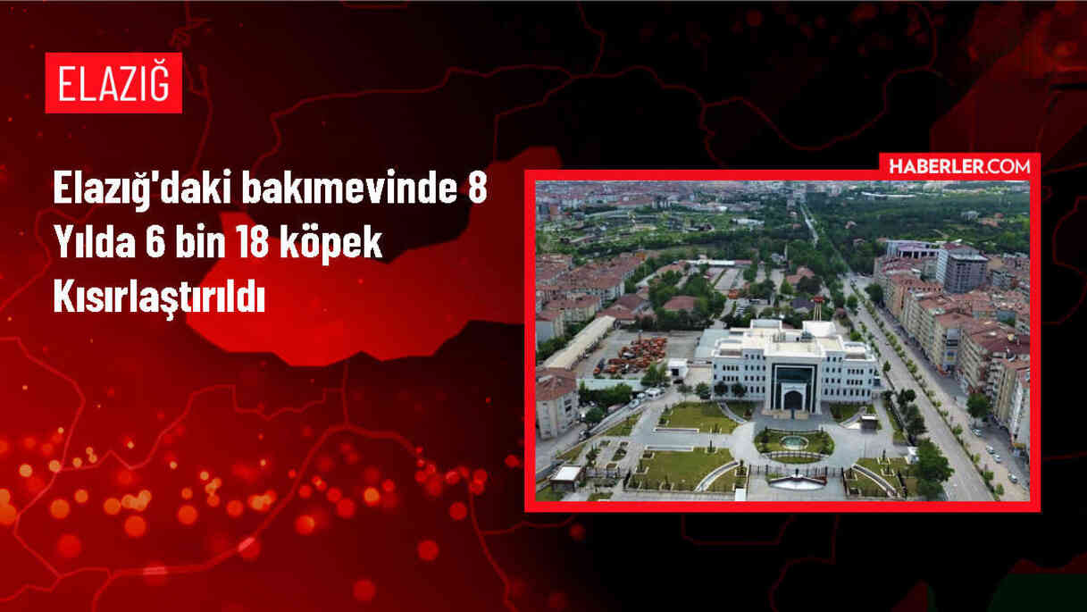 Elazığ Belediyesi Geçici Hayvan Bakımevi ve Rehabilitasyon Merkezi'nde 13 Bin 80 Hayvana Hizmet Verdi