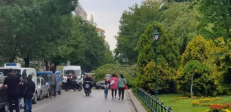 Eskişehir'de Rüzgarın Etkisiyle Ağaç Dalı Otomobilin Üzerine Düştü