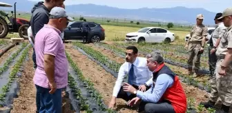 İslahiye Kaymakamı Mehmet Soylu, Kırmızıbiber Üreticilerini Ziyaret Etti