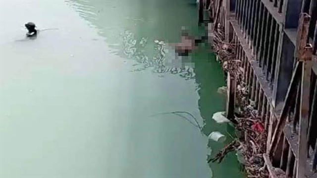 1 haftadır her yerde aranan liseli Senem'in cansız bedeni bulundu