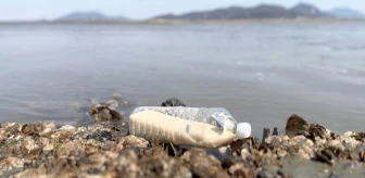 Güney Koreli aktivist, Kuzey Kore'ye pirinç dolu plastik şişeler gönderiyor
