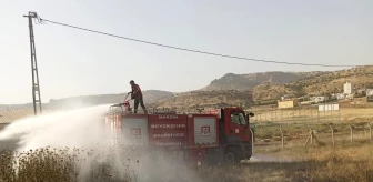 Mardin'de Ormanlık Alanda Çıkan Yangın Kontrol Altına Alındı