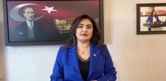 CHP Milletvekili Avukatlara Yönelik Şiddeti Araştırmak İçin Meclis'e Önerge Verdi