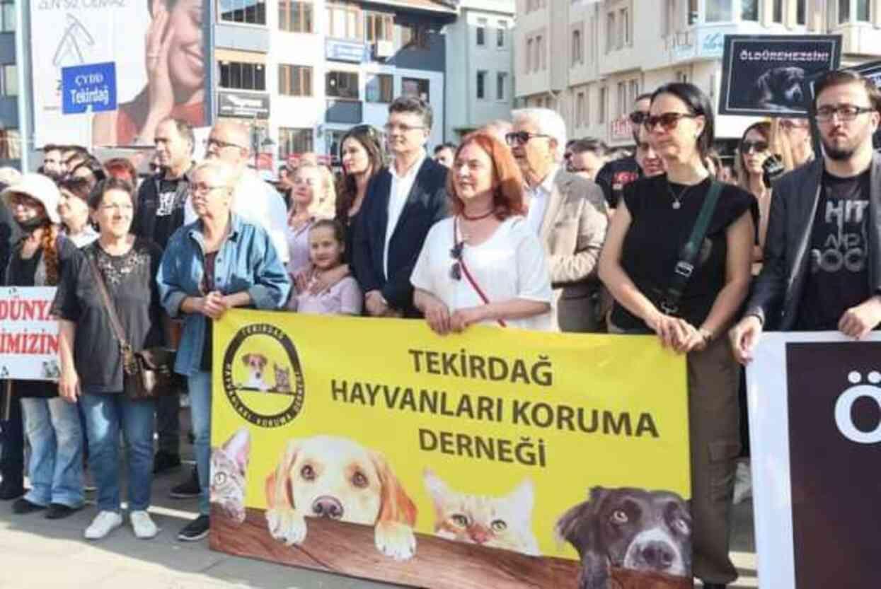 Tekirdağ Kent Konseyi, Sokak Hayvanları Yasa Tasarısını Protesto Etti Tekirdağ Kent Konseyi, Sokak Hayvanları Yasa Tasarısını Protesto Etti