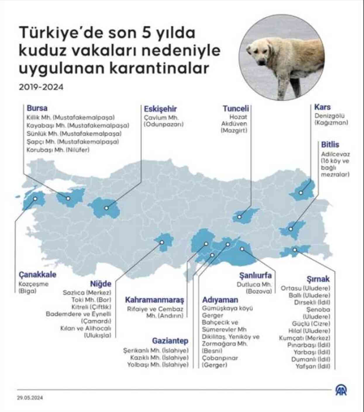 Türkiye'de kuduz vakaları 2024! Türkiye'de kuduz vakası en son ne zaman görüldü?