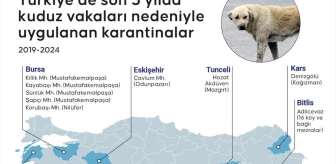 Türkiye'nin 5 yıllık kuduz bilançosu çıkarıldı