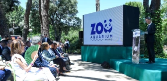 Madrid Hayvanat Bahçesi'nde Çin'den gelen dev panda çifti tanıtıldı
