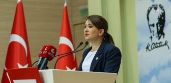 CHP Genel Başkan Yardımcısı Gökçe Gökçen'den kadınların soyadı düzenlemesine tepki