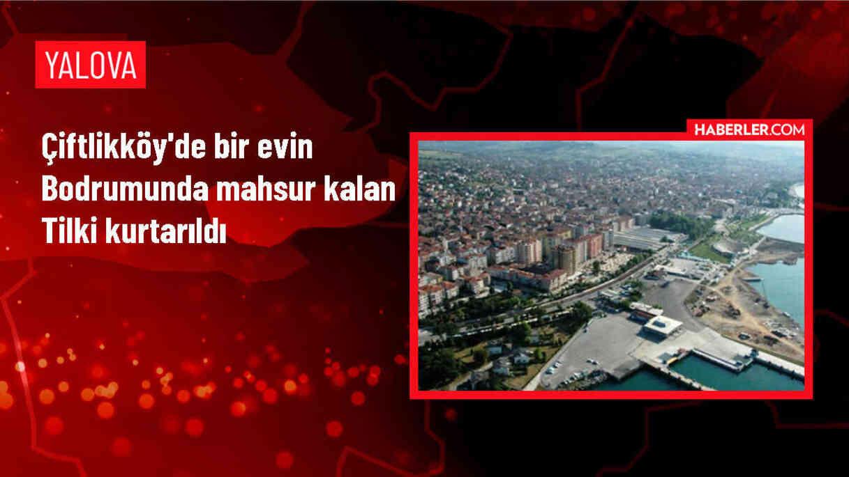 Çiftlikköy'de mahsur kalan tilki itfaiye tarafından kurtarıldı