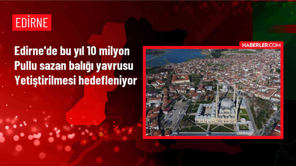 İpsala'da Su Ürünleri Üretim İstasyonu'nda 10 Milyon Pullu Sazan Yavrusu Yetiştirilecek
