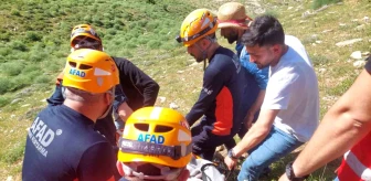 Van'da Pancar Toplarken Kayalıklardan Düşen 2 Kişi Kurtarıldı