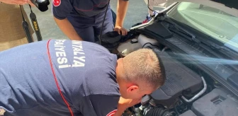 Serik'te Otomobilin Motoruna Sıkışan Yavru Kedi Kurtarıldı