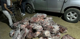 Aydın'da bir ton yaban domuzu eti ele geçirildi
