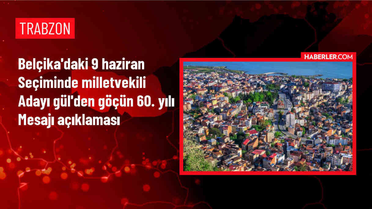 Belçikalı Türk kökenli siyasetçi Yasin Gül, Türk toplumunun temsili için demokratik hakları vurguladı