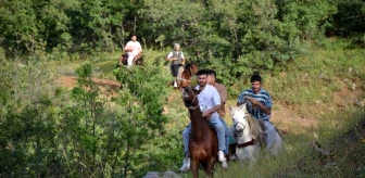 Şırnak'ta doğaseverler atlarla trekking yaptı
