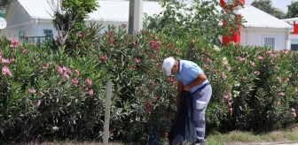Hatay Büyükşehir Belediyesi Refüj ve Kaldırımlarda Temizlik Çalışması Yaptı