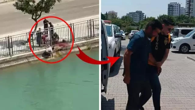 Cadde ortasında koyun kesti, yetmedi tüm pisliğini de kanala boşalttı