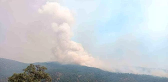 Manisa'da çıkan yangına müdahale eden ekip sayısı arttı