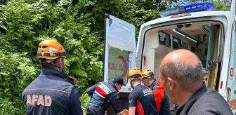 Rize'de ağaç keserken yaralanan vatandaş kurtarıldı