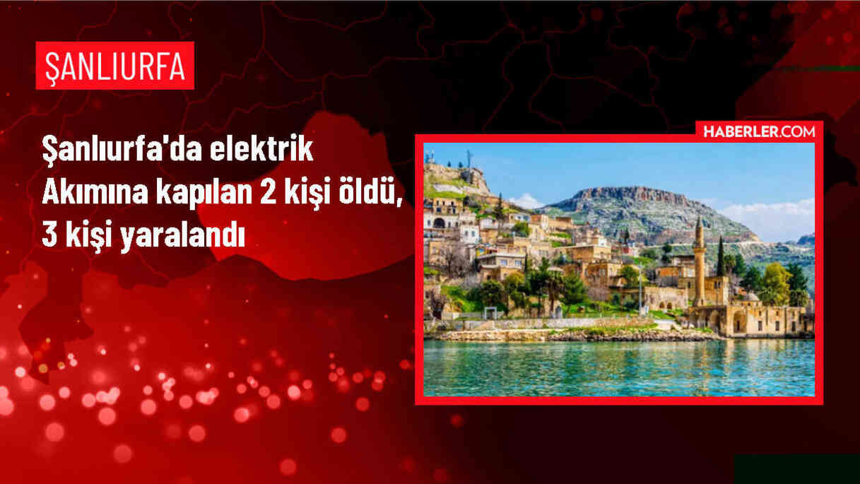 Şanlıurfa'da Patoz Makinesi Kazası: 2 Ölü, 3 Yaralı