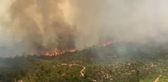 Çanakkale Valiliği'nden Orman Yangınlarına Karşı Uyarı