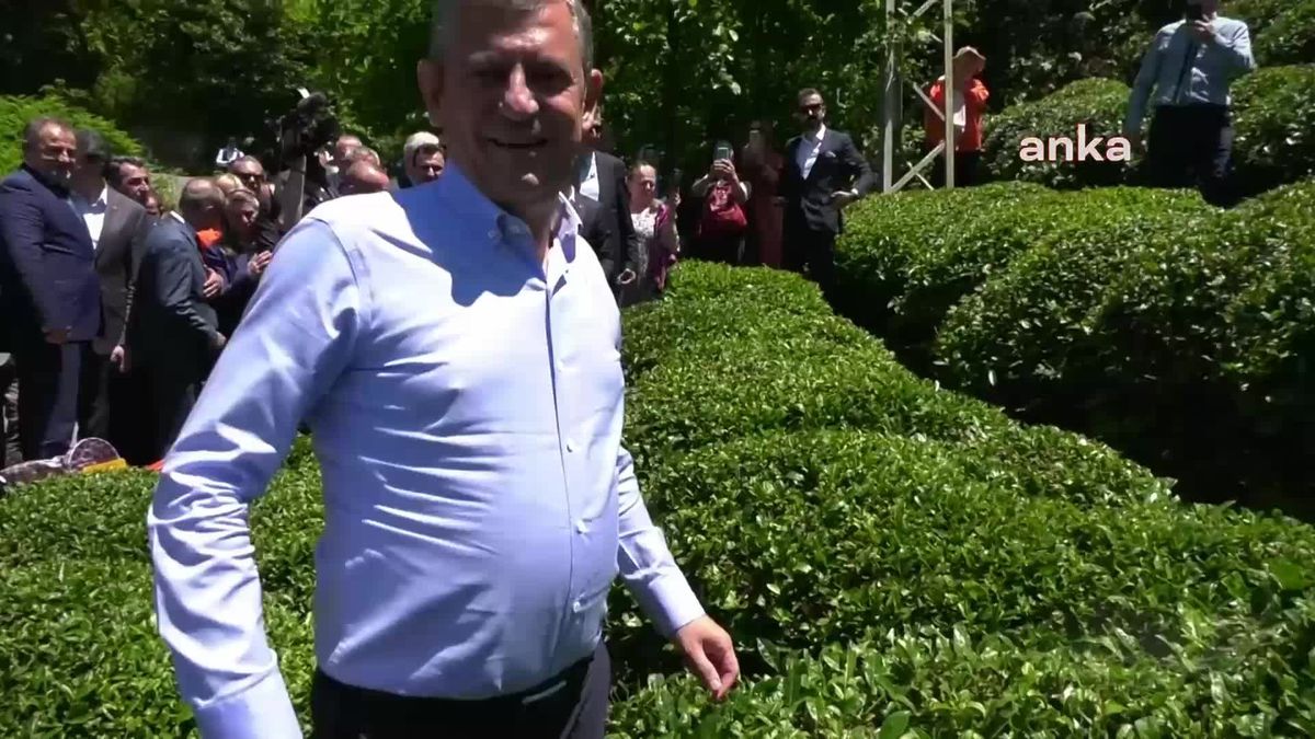 CHP Genel Başkanı Özgür Özel Rize'de çay hasadı yaptı