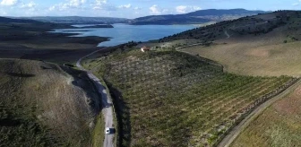 Yozgat'ta Çiftçi Badem Bahçesi Kurarak Gelirini Artırdı