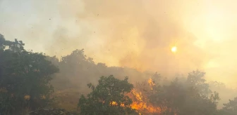 Manisa'da çıkan yangın 12 saatlik müdahaleyle söndürüldü