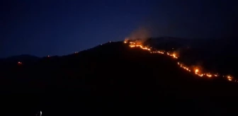 Manisa'da yangın tekrar alevlendi