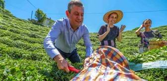 CHP Genel Başkanı Özgür Özel, Rize'de çay üreticilerine seslendi