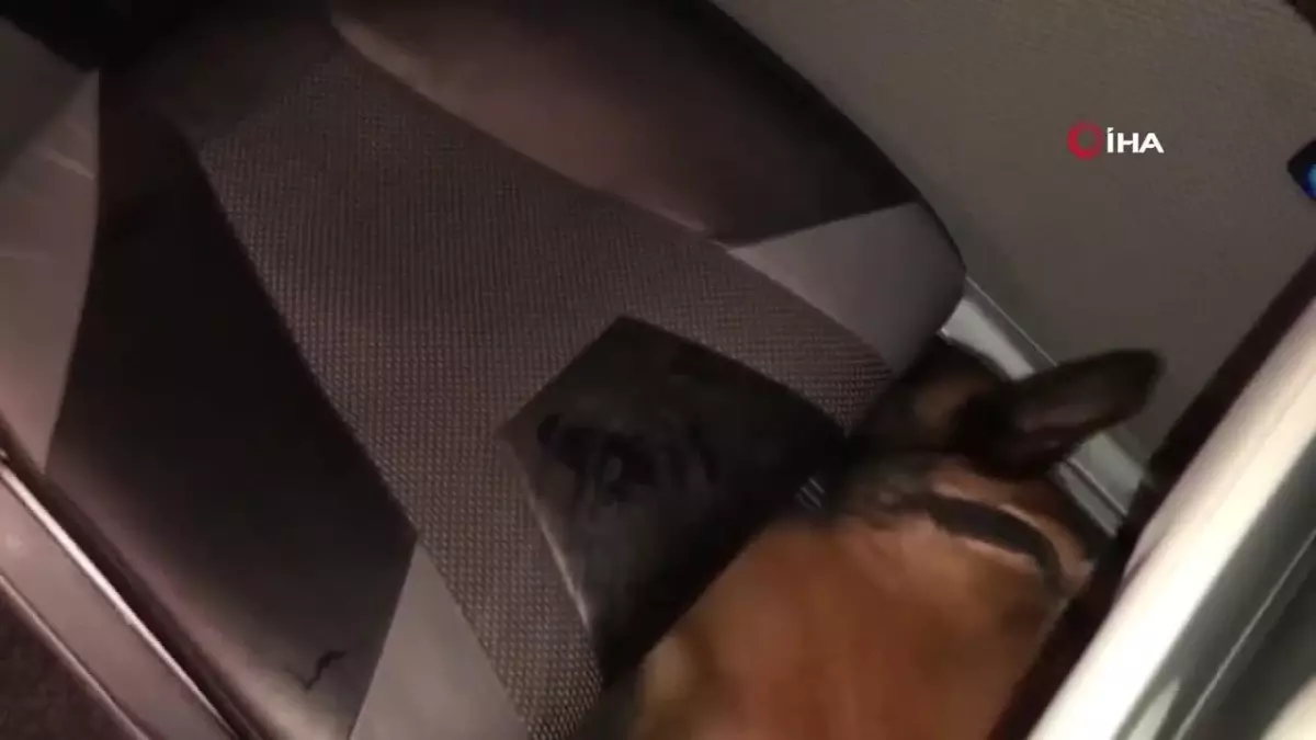 Siirt'te 491 gram metamfetamin ele geçirildi