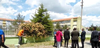 Çankırı'da hükümlüler okulları yeniliyor