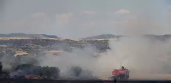 Manisa'da çıkan yangınlar kontrol altına alındı