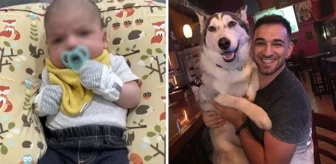 8 yıldır besledikleri köpek, 6 haftalık bebeklerini parçaladı