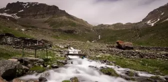 Erzurum-Rize sınırındaki yaylalar doğaseverleri bekliyor