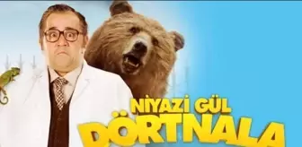 Niyazi Gül Dörtnala ne zaman, nerede çekildi? Niyazi Gül Dörtnala konusu ve oyuncuları