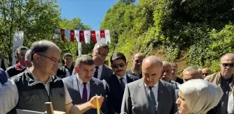 Ordu'da Kestane Ormanlarına Faydalı Böcek Bırakıldı