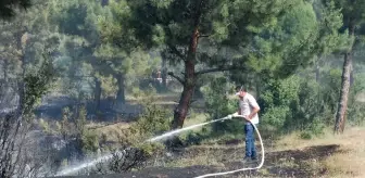 Çanakkale'de Tarım Arazisinde Çıkan Yangın Kontrol Altına Alındı