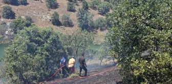 Denizli'nin Güney ilçesinde meşe ağaçlarının bulunduğu alanda çıkan ot yangını söndürüldü